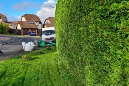 Looking to have your hedges tidied up for the winter. Get in contact for a free quote2