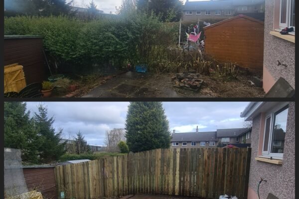 A hedge we removed by the roots and replaced with a 6ft fence.
